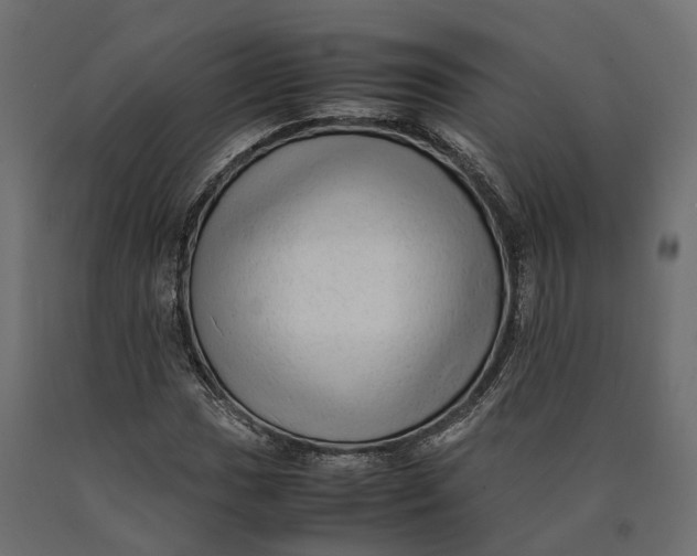 X0000090431017200708031124