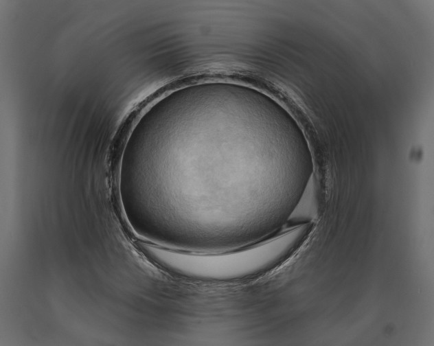 X0000090431018200708031124