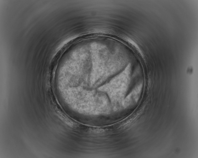 X0000090431019200708031124