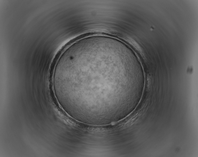 X0000090431020200708031124