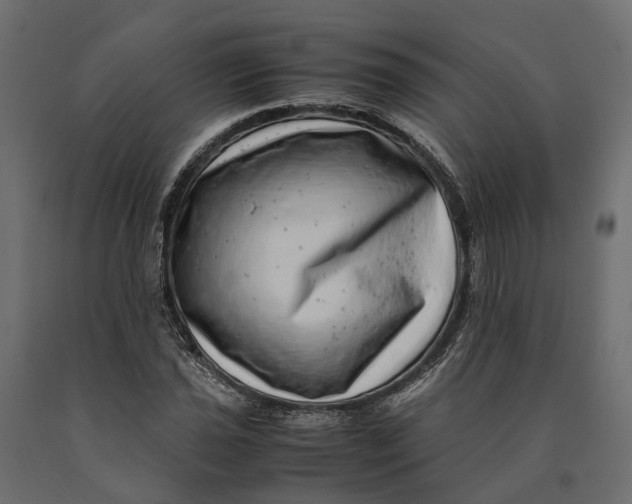 X0000090431021200708031124