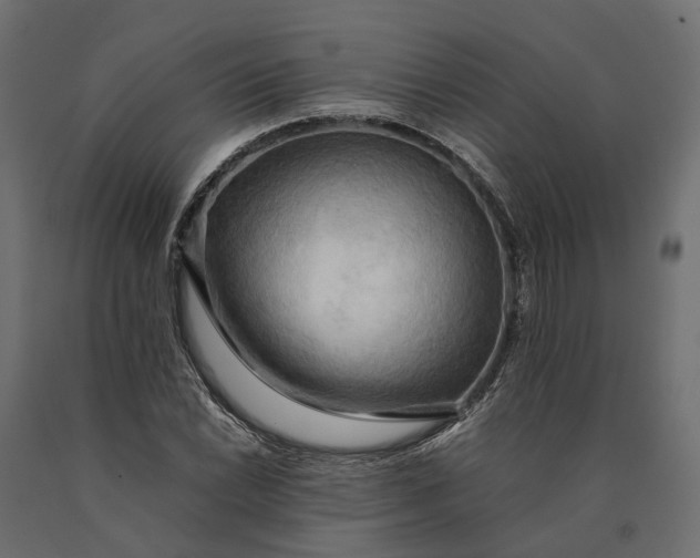 X0000090431022200708031124