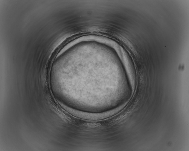 X0000090431023200708031124