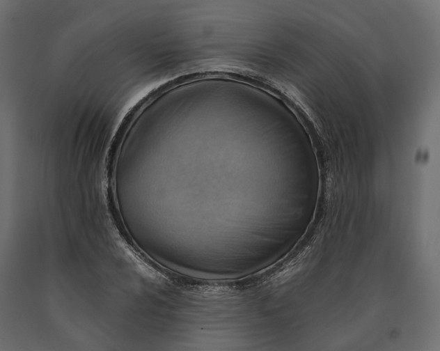 X0000090431024200708031124