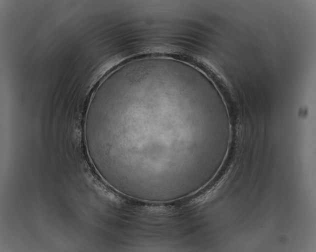 X0000090431025200708031124