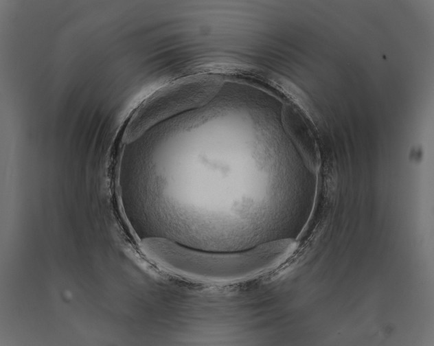 X0000090431026200708031124