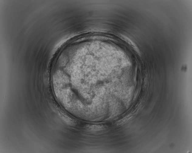 X0000090431027200708031124