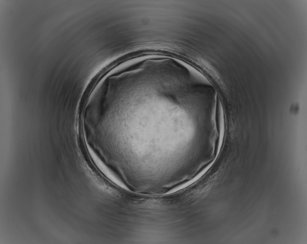 X0000090431028200708031124