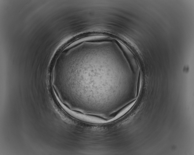 X0000090431029200708031124