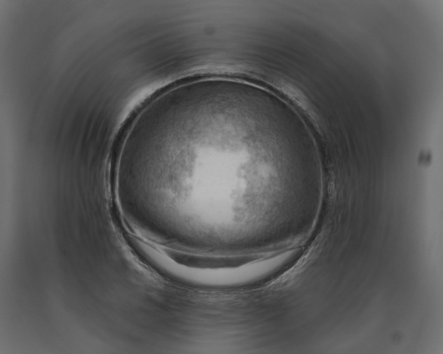 X0000090431030200708031124