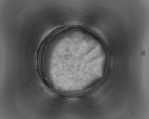 X0000090431031200708031124