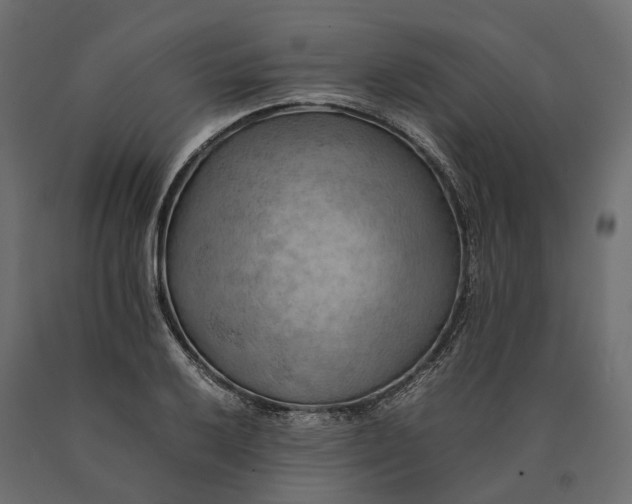 X0000090431032200708031124