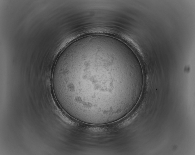 X0000090431033200708031124