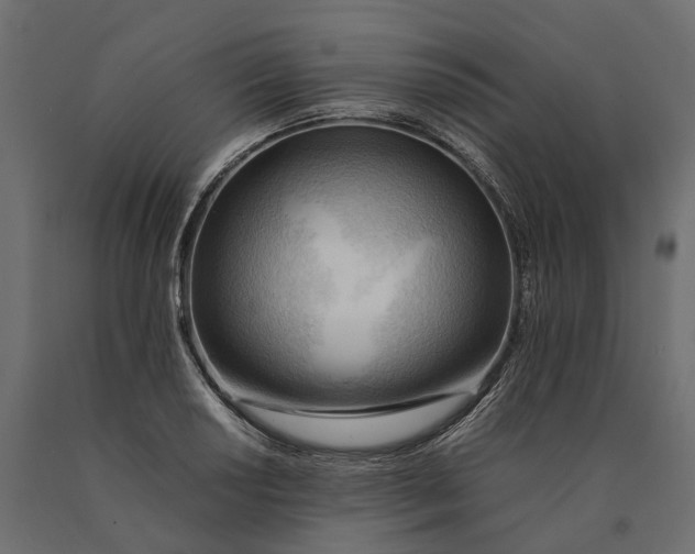 X0000090431034200708031124