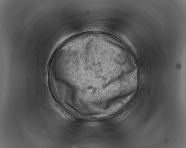 X0000090431035200708031124