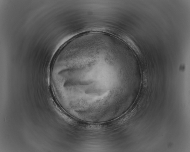 X0000090431036200708031125