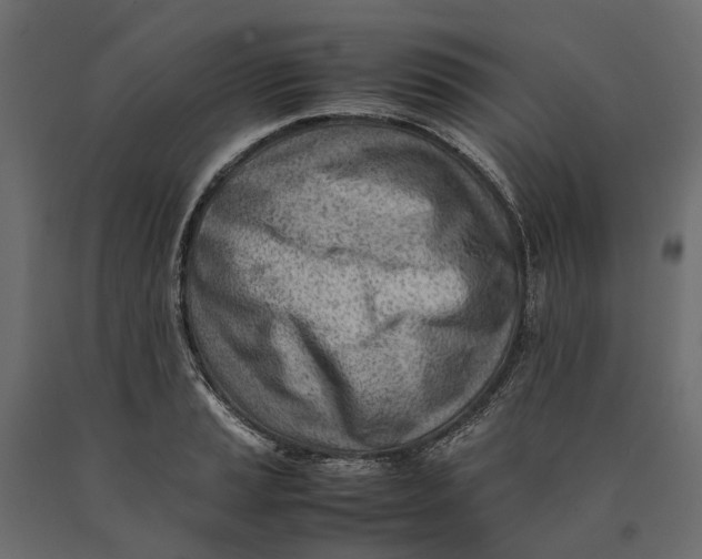 X0000090431037200708031125