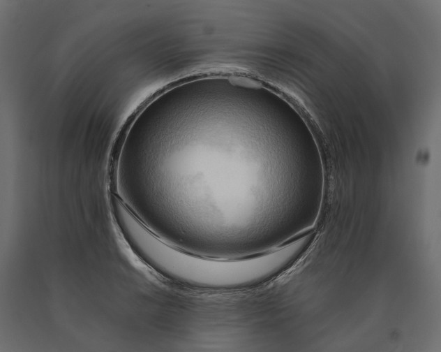 X0000090431038200708031125