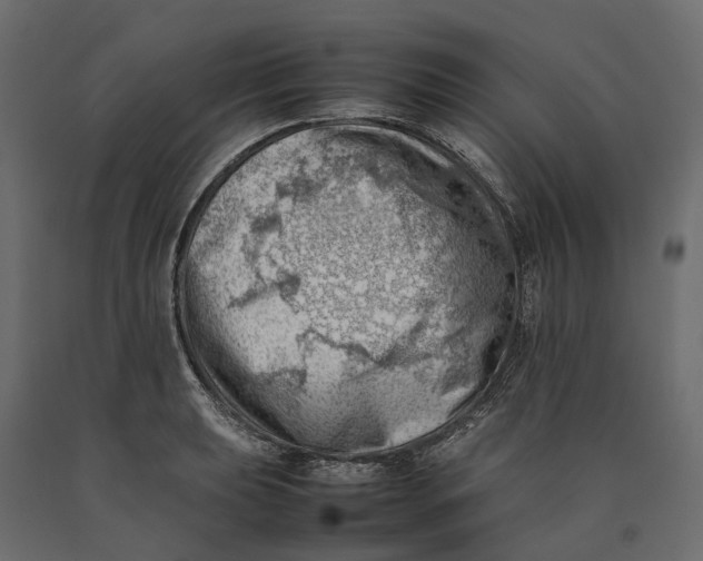 X0000090431039200708031125