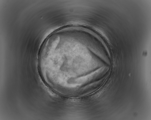 X0000090431040200708031125