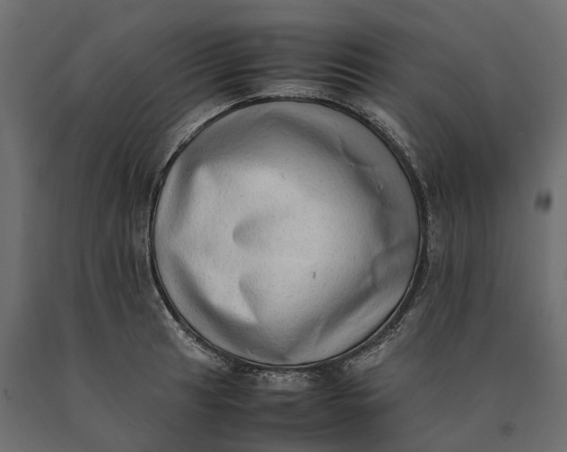 X0000090431041200708031125