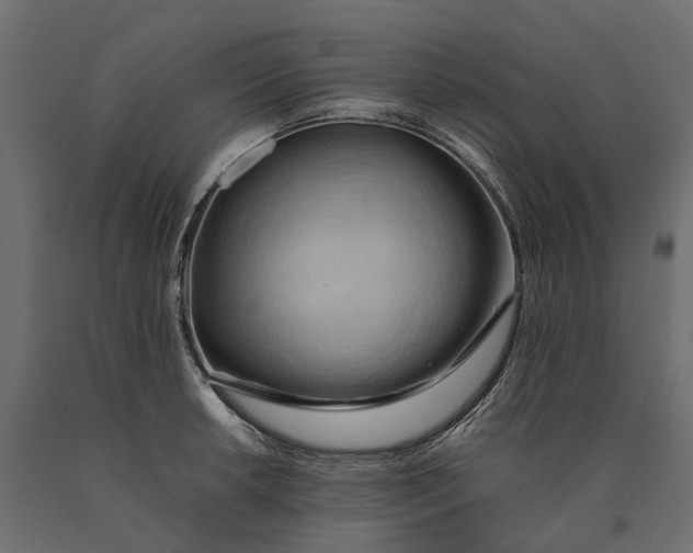 X0000090431042200708031125