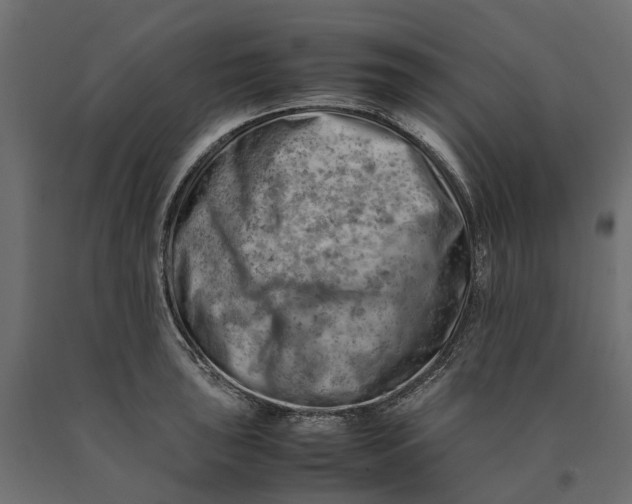 X0000090431043200708031125