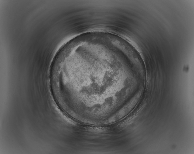 X0000090431045200708031125