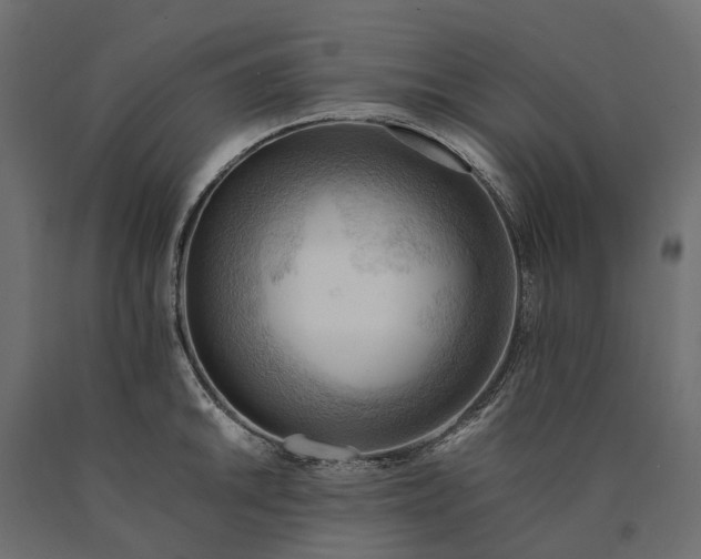 X0000090431046200708031125