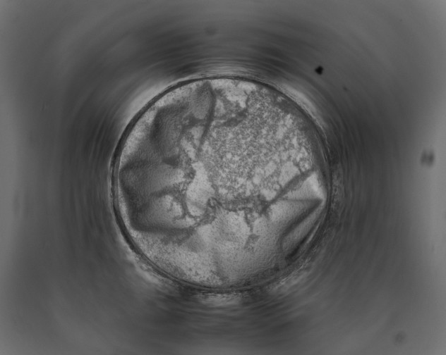 X0000090431047200708031125