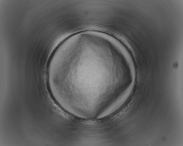 X0000090431048200708031125