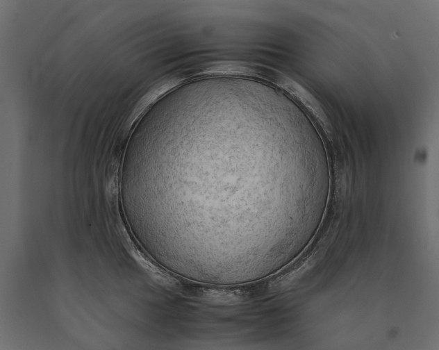 X0000090431049200708031125