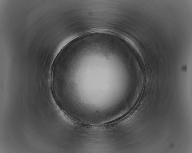 X0000090431050200708031125