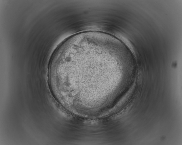 X0000090431051200708031125