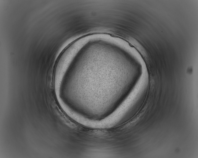 X0000090431052200708031125