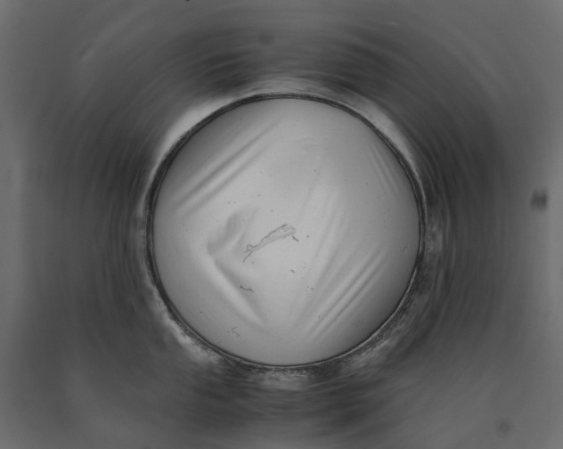 X0000090431053200708031125