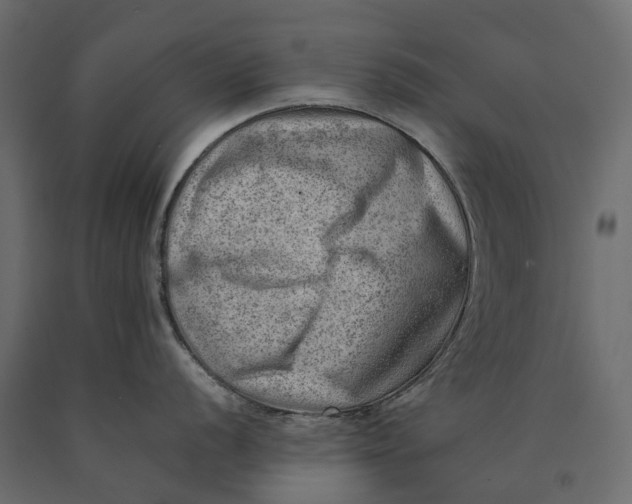 X0000090431056200708031125