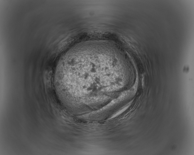 X0000090431059200708031124