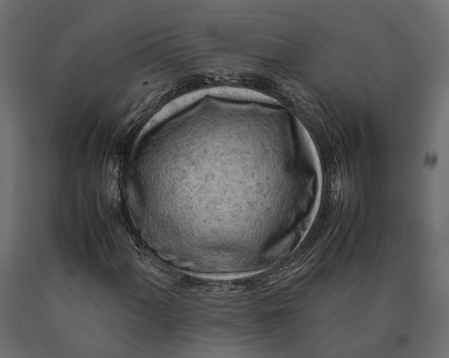 X0000090431060200708031124