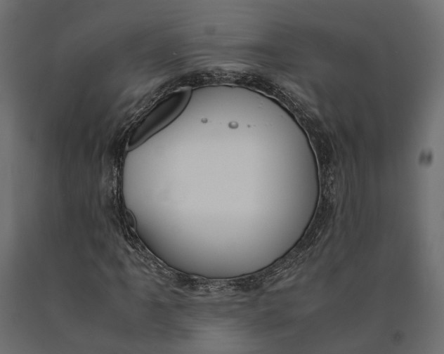 X0000090431061200708031124