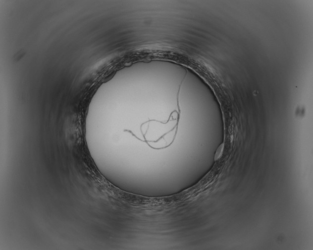 X0000090431062200708031124