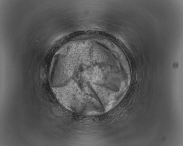 X0000090431063200708031124