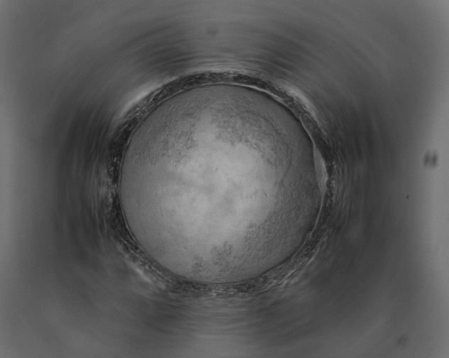 X0000090431064200708031124