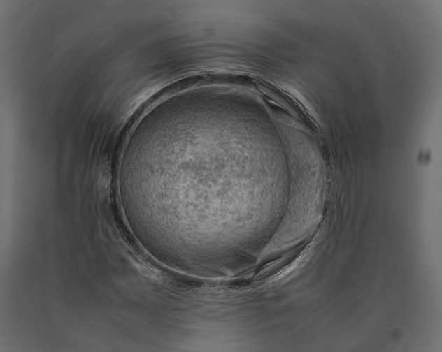 X0000090431065200708031124