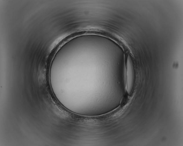 X0000090431066200708031124