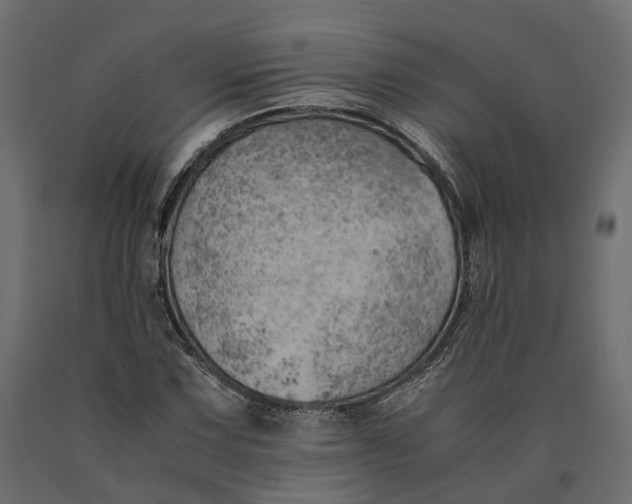 X0000090431067200708031124