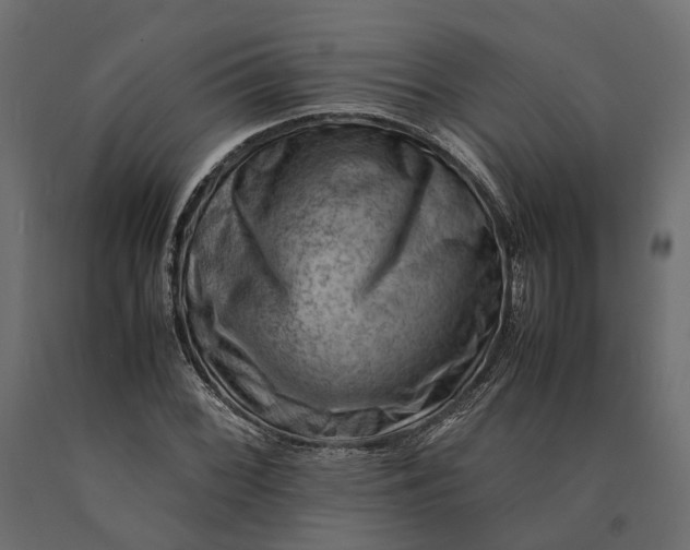 X0000090431068200708031124