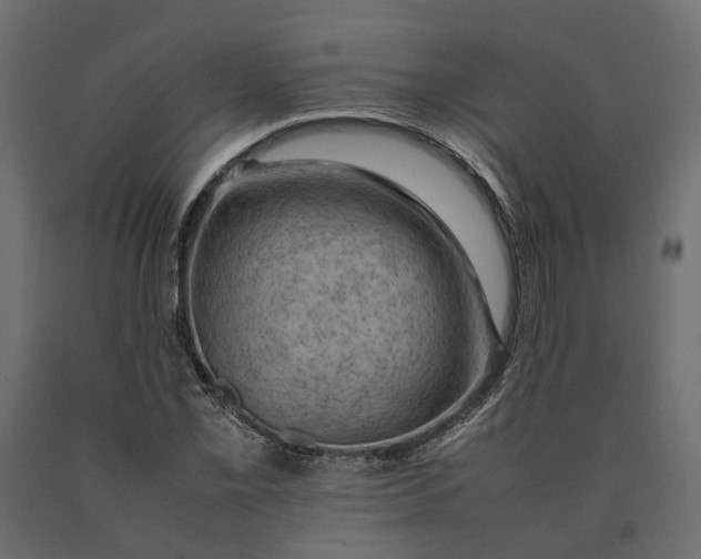 X0000090431069200708031124