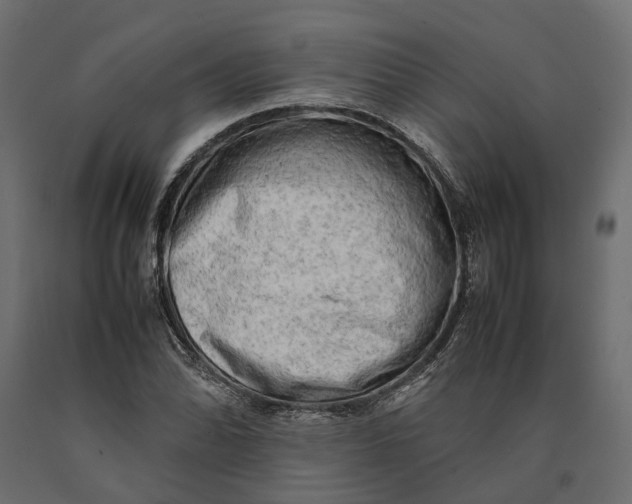 X0000090431070200708031124