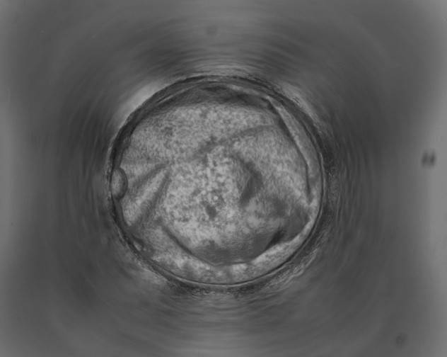 X0000090431071200708031124